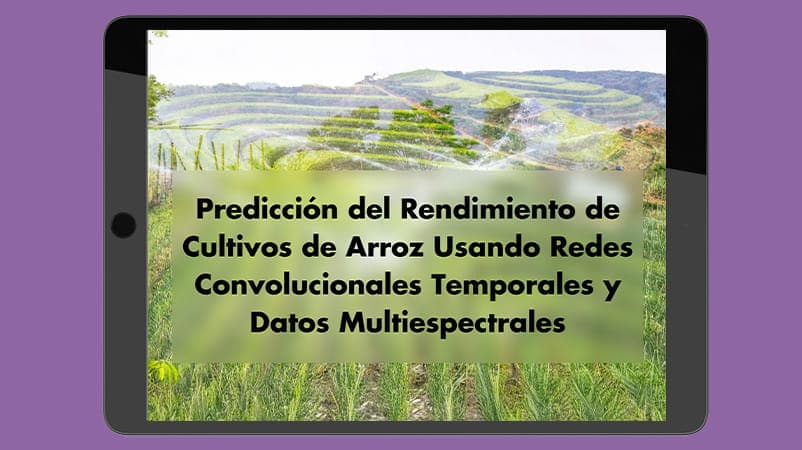 Avance de Tesis: Modelo Predictivo de Rendimiento de Arroz con Satélite y Datos Climáticos