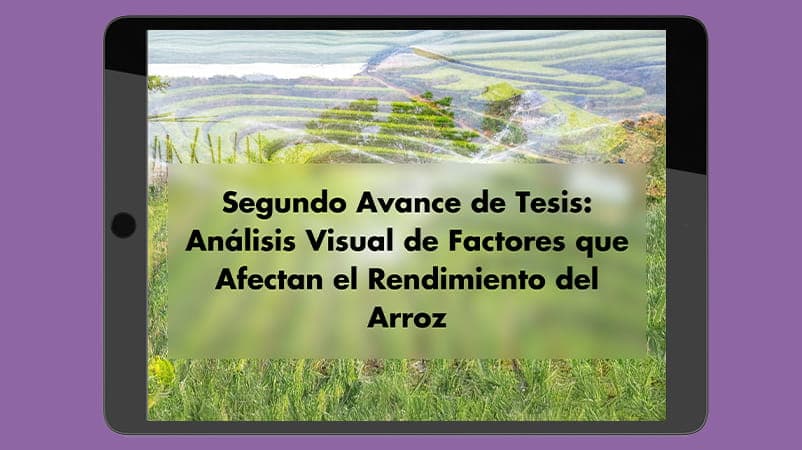 Segundo Avance de Tesis: Análisis Visual de Factores que Afectan el Rendimiento del Arroz