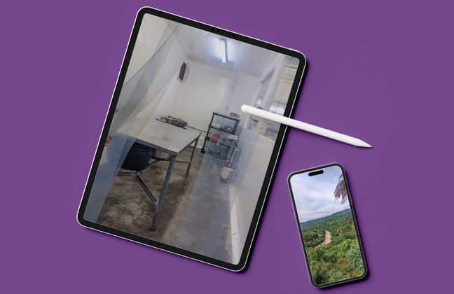 Proceso chocolate Orquídea